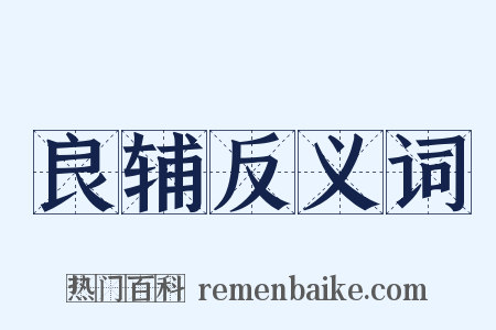 良辅反义词是什么意思的图片